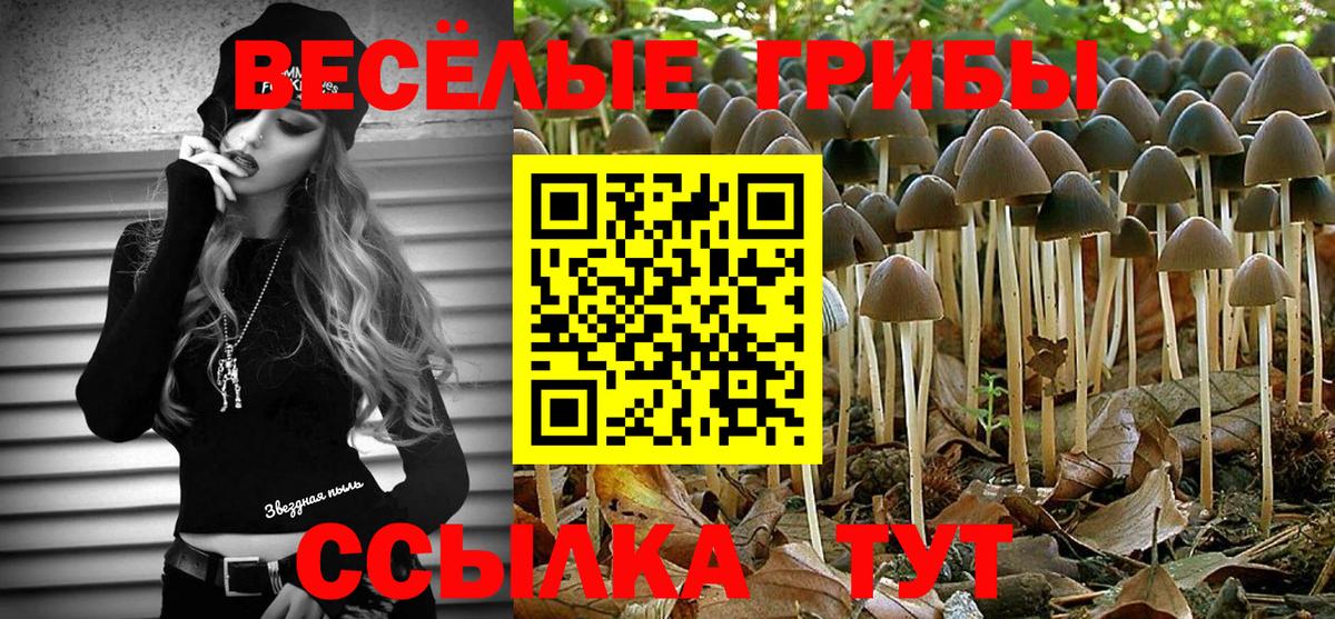 Псилоцибиновые грибы ЛСД Батайск