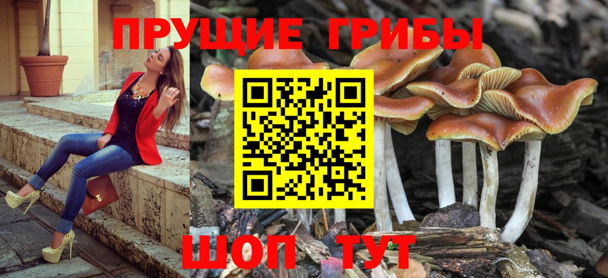 Галлюциногенные грибы прущие грибы  Псилоцибиновые грибы прущие грибы  Вход с VPN  Батайск 